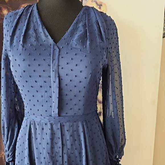 Gal Meets Glam Retro Andrea A-Line V Neck Sheer Balloon Sleeves Swiss Dot Dress - Picture 3 of 14